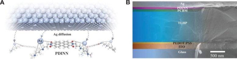 Illustration of the Chemical Interaction Between PDINN and Metal Atoms