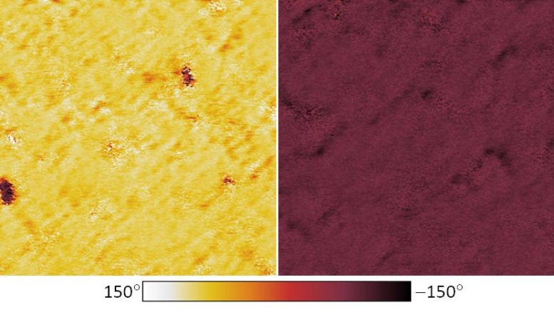 PFM Phase Images of a W/HZO/W-Capacitor