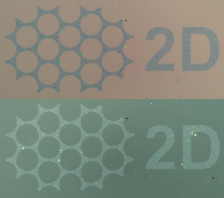 Transfer Patterned Graphene