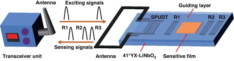 Schematic and Working Principle of the Proposed SAW Chemical Sensor