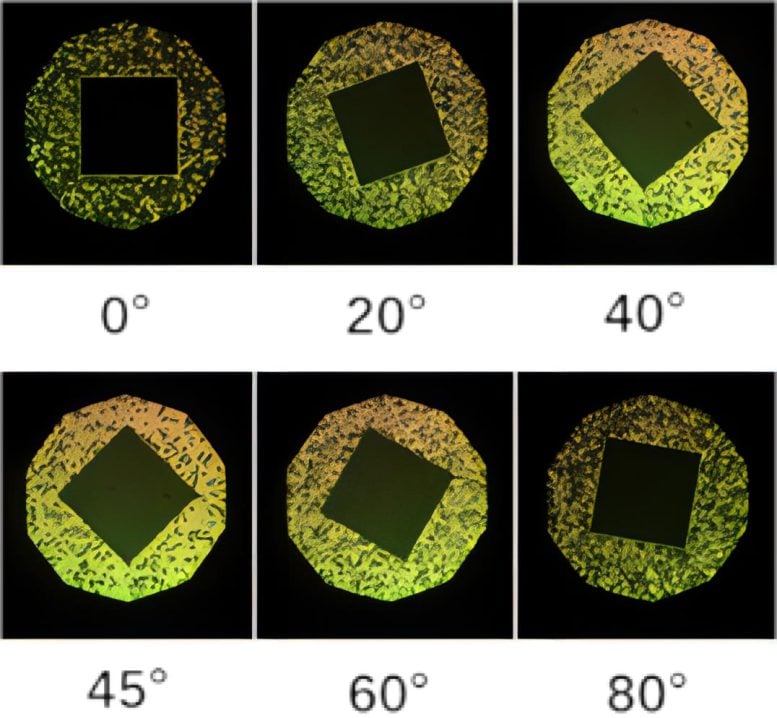 Quantitative Characterization of LC Alignment Effect