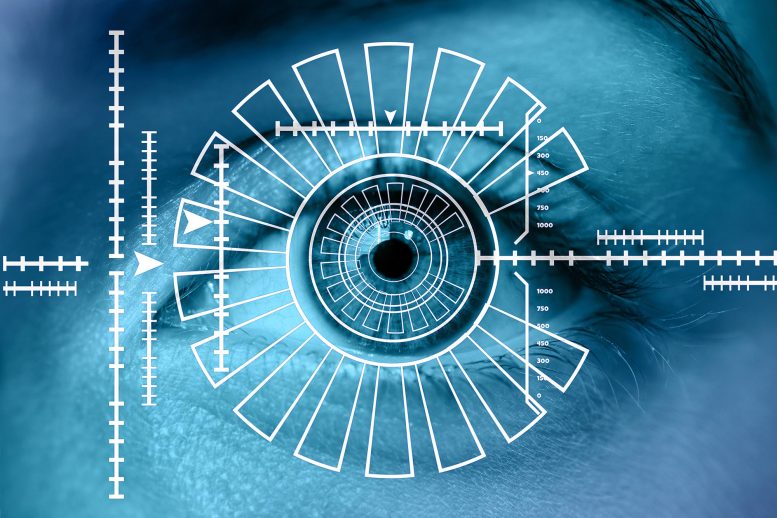 Eye Scan Illustration