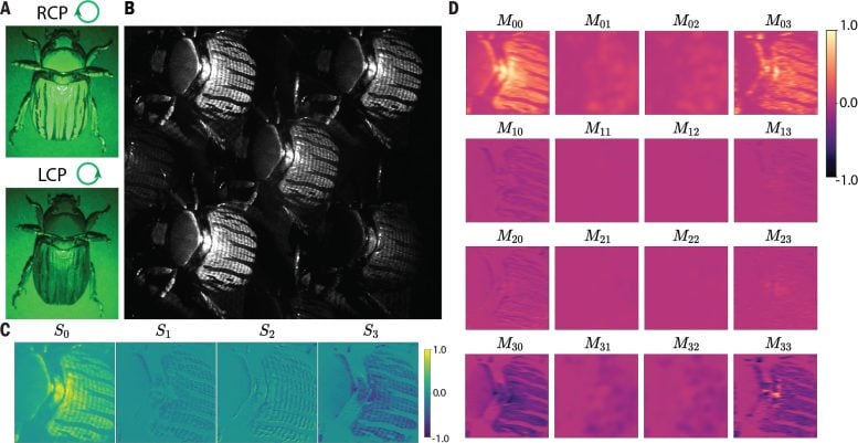 Mueller Matrix Imaging