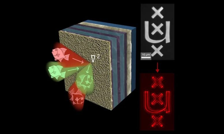 Photonic Edge Detection