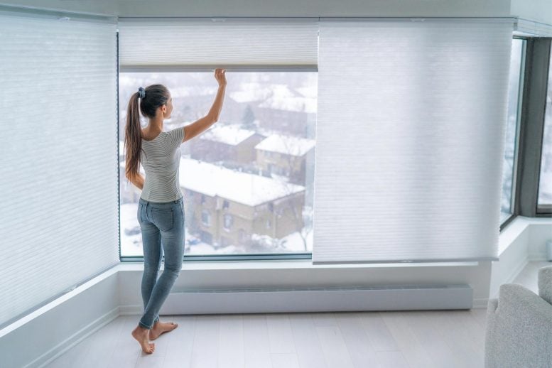 Cellular Window Shades