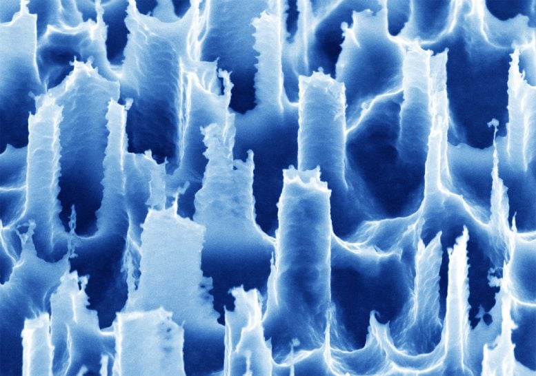 Microscopic Silicon Spikes