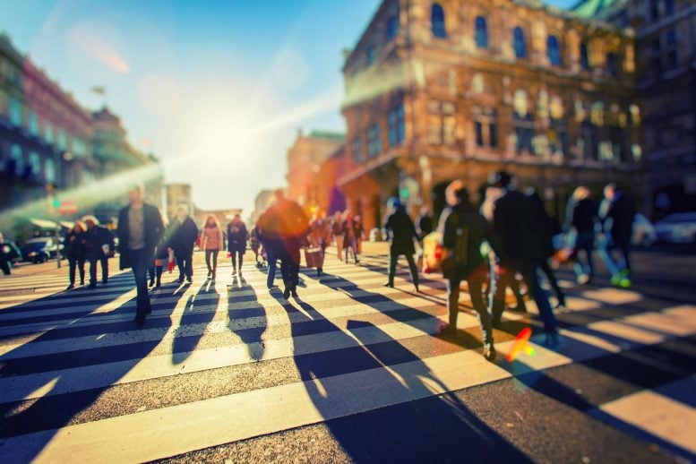 Sunny Urban Street City Crosswalk Crowd
