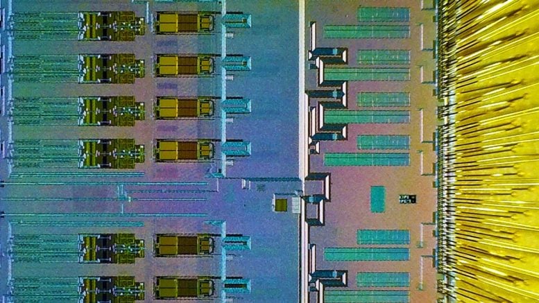 Latest CERN Chip