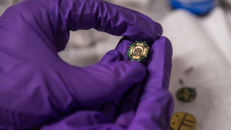 Student Holds a Semiconductor Chip