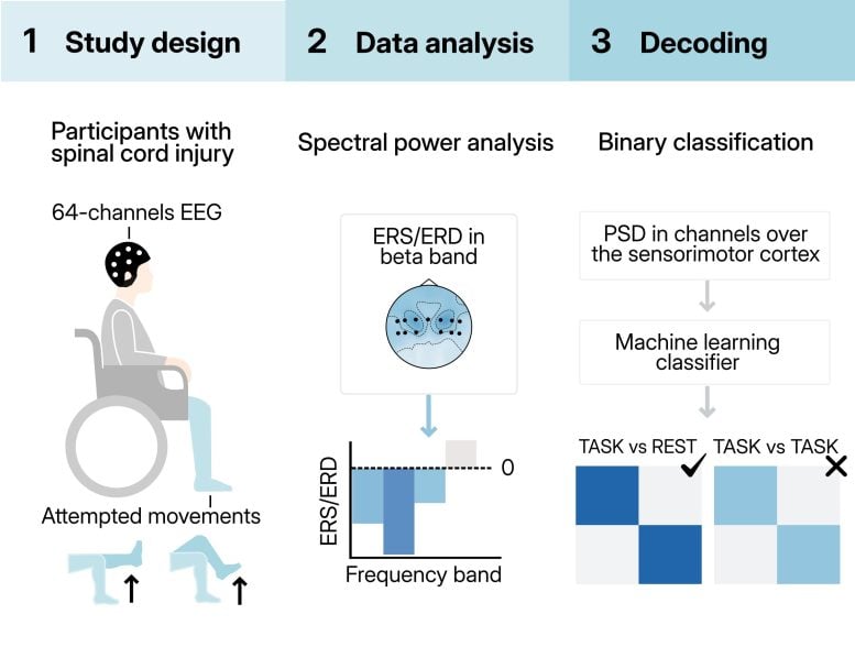 EEG Monitoring Device Brain Signals Spinal Cord Stimulator