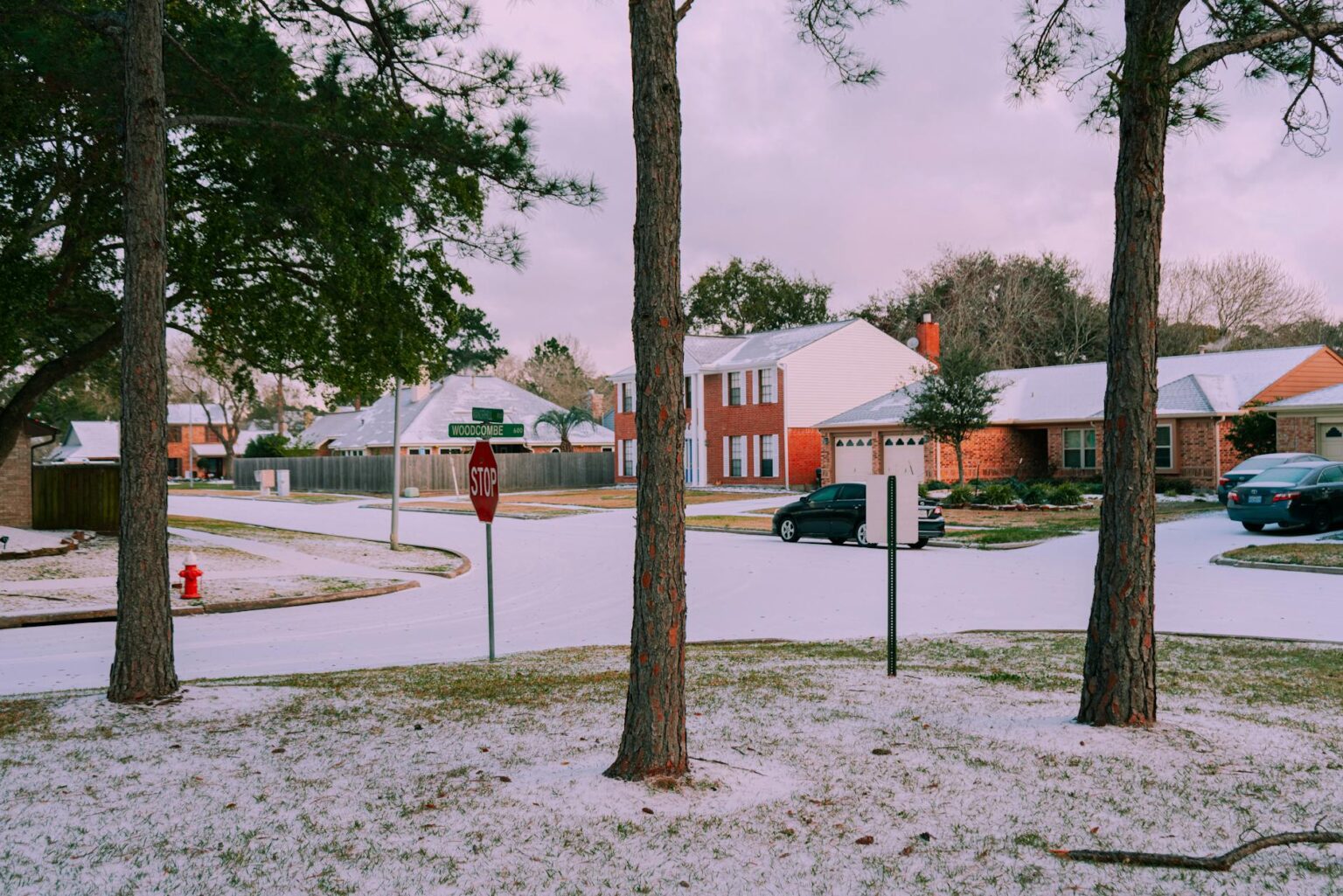 Aerial view of residential suburban neighborhood with houses and tree-lined streets